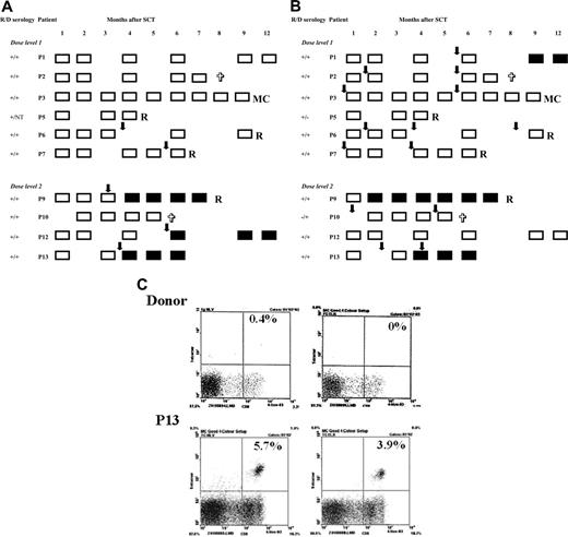 Figure 5. Recovery of CD8 responses to viruses. (A) Recovery of CD8 responses against EBV. ▪ represents time points at which a significant (> 0.1% above isotype) tetramer-positive population was identified in the peripheral blood of recipients; □, time points at which no tetramer-positive cells were observed. The arrows indicate EBV viremia. Time points at which patient went off study for relapse (R) or mixed chimerism (MC) are shown. Crosses indicate time points at which patients died. (B) CD8 responses against CMV. Schema as in panel A. (C) Flow cytometric analysis of peripheral blood from patient P13 at 6 months after transplantation (bottom 2 panels) and his donor (top 2 panels) using CD8-FITC/tetramer-PE staining. The left panels show samples stained with the HLA-A2-NLV tetramer (pp65), and the right panels show samples stained with the HLA-B8-ELR tetramer (IE1). The percentage of CD3+8+ T cells that were tetramer positive is shown.