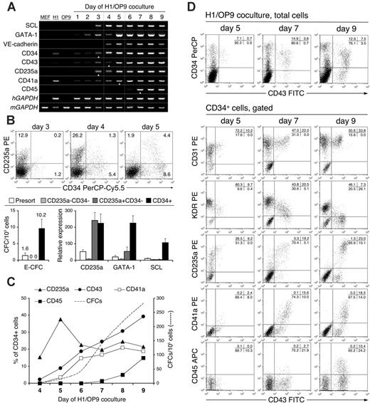 Figure 1. Kinetic analysis of hematopoietic development in H1/OP9 coculture. (A) Gene expression analysis of hematopoiesis-inductive transcription factors (SCL, GATA1) and hematoendothelial markers by RT-PCR. Triangular white pointers indicate the first day when a surface expression of respective hematopoietic markers was detected by flow cytometry. Dotted vertical lines show the timeframe of CFC emergence. Human- and mouse-specific GAPDH primers were used for positive control of human (hGAPDH) and MEF/OP9 (mGAPDH) RNA, respectively. (B) Early CD235a+CD34– cells in H1/OP9 coculture. Representative FACS analysis shows a burstlike CD235a expression and gradual emergence of CD34+CD235a+/– cells during 3 to 5 days of H1/OP9 coculture. Values within dot plots indicate percentage of cells in respective quadrants; 20 000 FACS events are displayed. Bar graphs show CFC potential and relative expression of CD235a, GATA-1, and SCL mRNA in FACS-sorted CD235a–CD34–, CD235a+CD34–, and CD34+ cells on day 4 of H1/OP9 coculture. CFCs and mRNA levels were determined by MethoCult GF+ assay and qRT-PCR, respectively. The relative expression of each GAPDH-normalized target gene was calculated in comparison with undifferentiated H1 cells using the 2ΔΔCt method. Results are the mean ± SD from 3 independent experiments. (C) Expression of hematopoietic markers during H1/OP9 coculture was analyzed by FACS within gated CD34+ cells and represented as a percentage of CD34+ cells (left y-axis). Dashed trend line shows total CFC counts (right y-axis). Results are the means from 3 independent experiments. (D) Representative FACS analysis of CD43+ cells in H1/OP9 coculture. Values within dot plots indicate percentage of cells in respective quadrants; 20 000 (total H1/OP9 cells), 5000 (gated CD34+ cells, day 5), and 10 000 (gated CD34+ cells, days 7, 9) FACS events are displayed.