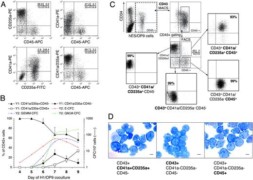 Figure 5. CD43+ cell subsets: definition, kinetic profile, sorting and morphology. (A) The phenotype of CD43+ cells isolated on day 8 of H1/OP9 coculture. CD41a and CD235a were coexpressed (bottom left dot plot), and both in opposite manner to CD45 (top dot plots). Combination of CD41a-PE, CD235a-PE, and CD45-APC mAbs (bottom right dot plot) defines 3 major CD43+ subsets: (1) CD43+CD41a/CD235+CD45–, (2) CD43+CD41a/CD235a–CD45–, and (3) CD43+CD41a/CD235a– CD45+. Values within plots indicate percentage of cells in respective quadrants. Representative analysis is shown. (B) Kinetic analysis of indicated CD43+ subsets in H1/OP9 coculture represented as percentage of total CD43+ cells (left y1-axis). Dashed trend lines show parallel kinetics of indicated CFC types (right y2-axis). Results are the mean ± SD from 3 independent experiments. (C) Sorting strategy used for isolation of CD43+ subsets. A representative example of 7 independent experiments is shown (H1, n = 5; H9, n = 2). (D) Wright-stained cytospins of FACS-sorted CD43+ subsets (scale bar represents 5 μm). Images were captured with a Microphot-SA microscope (Nikon, Melville, NY) equipped with a 100×/1.40 oil-immersion objective lens, and were acquired through a DFC320 camera and Firecam 1.3 software (Leica Microsystems).