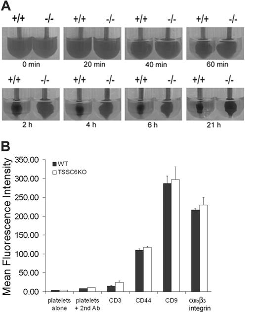 Figure 4. Delayed kinetics of clot retraction for TSSC6–/– platelets in the presence of normal integrin αIIbβ3 expression. (A) Photographs showing in vitro kinetics of clot retraction over a 21-hour time frame using platelet rich plasma (PRP) (normalized platelet counts) from wild-type and TSSC6-deficient mice. Samples were treated with 2.5 units thrombin. Each photograph is representative of at least 3 experiments. (B) The expression of surface markers on platelets was determined by staining with an isotype control (FITC-CD3), positive control FITC-CD44 mAb, FITC-CD9, and FITC-integrin β3 mAb for both wild-type and TSSC6–/– platelets. FITC-labeled samples were analyzed on a FACS Calibur analyzer. Results are cumulative data derived from 3 independent experiments and presented as MFI ± SEM.