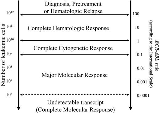 Figure 1. Approximate relationship between response, the putative number of leukemic cells, and the level of BCR-ABL transcripts. When a complete cytogenetic response has been achieved, the (putative) number of residual Ph+ cells can be measured only with quantitative molecular methods. The figure highlights the importance of molecular methods in the evaluation of the response to treatment. However, the sensitivity of current methods may vary substantially and in any case, no method can detect the transcript at very low cellular levels. For this reason the term “complete molecular response” may be misleading, since it might erroneously be interpreted as an equivalent of complete disease eradication and cure. The term “undetectable BCR-ABL” may better describe the biologic situation.