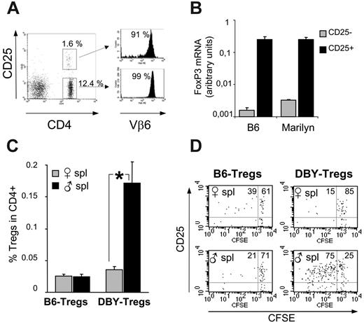 Figure 1. Antigen-specific in vivo expansion of CD4+CD25+ T cells from Marilyn mice. (A) FACS analysis of lymph node cells from female Marilyn mice labeled with anti-CD4, Vβ6, and CD25. (B) FoxP3 mRNA levels of purified CD25+ and CD25– cells from female B6 and Marilyn mice were determined by real-time PCR analysis on fresh splenocytes. (C-D) In vivo expansion of DBY-Tregs: B6- or DBY-Tregs labeled with 5 μM CFSE were transferred together with 10 × 106 female or male 45.1 splenocytes into recipient female 45.1 mice; n = 3 mice per group. At day 6, splenocytes were labeled with CD25, CD4, and CD45.2. Dot plots are gated on CD4+CD45.2+ cells. Statistical analysis was performed using the Mann-Whitney t test; *P ≤ .05. Panel A is representative of 3 experiments, and panels B-D are each representative of 2 experiments. Error bars in panels B and C show standard error of the mean.