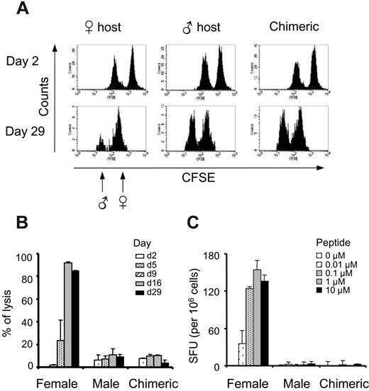 Figure 5. Strong tolerance to male antigen in chimeric mice. (A-B) The absence of antimale CTL activity in chimeric mice. Male and female splenocytes labeled with 0.5 μM and 5 μM CFSE, respectively, were transferred into female mice, male mice, or chimeric female mice. PBMCs were labeled with PE anti-B220 and 7-AAD at various time points, and percentages of specific lysis of male over female splenocytes were calculated as detailed in “Materials and methods.” Results represent the mean of 2 mice per group assayed at 5 time points. Bars represent the 2 values of single-animal results. (C) The absence of antimale T-cell responses. Female, male, or chimeric mice were challenged subcutaneously with 50 μg UTY peptide emulsified in IFA. Splenocytes were tested on day 10 in a standard IFNγ ELISPOT assay against various doses of the UTY peptide. Results represent the mean of 3 mice per group ± SEM.