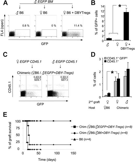 Figure 7. Secondary engraftment of tissues expressing EGFP transgene in the absence of DBY antigen. (A) A total of 7 × 106 male 45.2 BM cells from transgenic EGFP mice were transferred into 45.2 male hosts, 45.2 female hosts, or 45.2 female hosts conditioned with 105 DBY-Tregs. One representative FACS analysis of 3 experiments is shown (day 150). (B) Donor chimerism expressed as a percentage of EGFP-positive cells analyzed in PBMCs 5 months after EGFP BM transfer as in panel A. Results represent the mean of 3 mice per group ± SEM. (C-D) BM from EGFP × CD45.1 male or female mice was transferred into 45.2 EGFP chimeric or naive female mice. Representative FACS analysis (C) and percentage of EGFPhigh and CD45.1+ cells (D) in PBMCs at 5 months are shown. Results represent the mean of 3 mice per group ± SEM. Statistical analysis was performed using the Mann-Whitney t test; *P ≤ .05. (E) Long-term engraftment of EGFP female skin grafts in EGFP male-female chimeric mice (n = 8, ▪). In the controls, 5 of 6 chimeric mice lacking EGFP (♦) and 4 of 4 female B6 mice (▴) rejected the EGFP female skin graft between day 12 and day 16. The results presented are pooled from 2 independent experiments.
