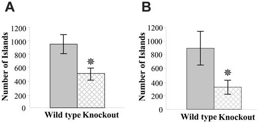 Figure 4. Erythroblastic islands from ICAM-4 null and wild-type mouse bone marrow. (A) Islands reconstituted from B6,129 ICAM-4 null and wild-type mouse bone marrow cells. Histogram of number of erythroblastic islands formed from 1 × 105 single cells obtained from wild-type (n = 10) and ICAM-4 null (n = 10). *P < .001 when compared to islands formed from wild-type marrow. (B) Erythroblastic islands formed in vivo in ICAM-4 null and wild-type mice. Histogram of number of erythroblastic islands obtained from wild type (n = 6) and ICAM-4 null (n = 6). *P < .001 when compared to islands formed from wild-type marrow. Results are shown as mean ± SD.