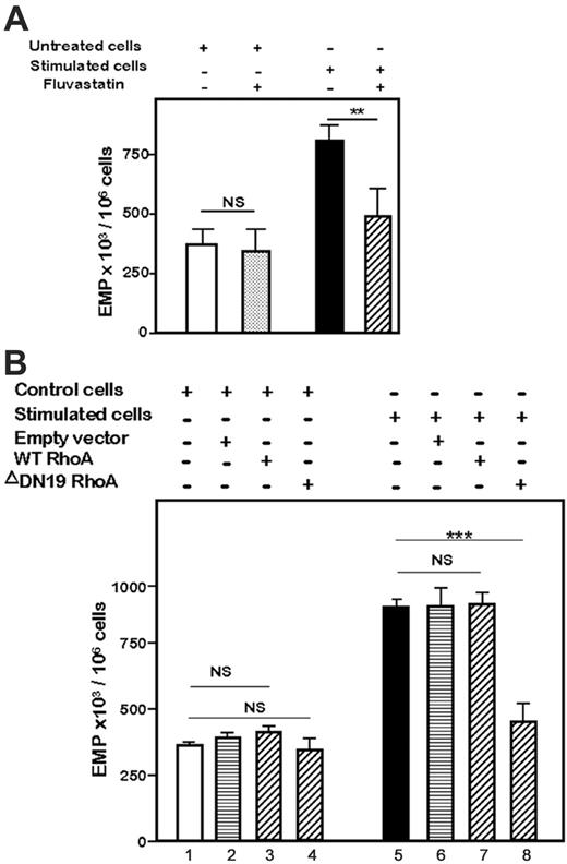 Figure 3. Involvement of Rho-GTPases in EMP release by thrombin. (A) Effect of fluvastatin on EMP release by 1 IU/mL thrombin. Serum-starved HMEC-1 cells were preincubated for 1 hour with fluvastatin (0.01 μM), washed, and then kept untreated (control) or stimulated for 18 hours with thrombin in presence of identical drug concentrations. (B) Effect of RhoA transfections on EMP level. HMEC-1 cells were either untransfected or transiently transfected with wild type RhoA (WT), inactive ΔDN19RhoA, or empty vector, as described in “Materials and methods.” Two days later, the cells were kept untreated or were stimulated with 1 IU/mL thrombin for the next 18 hours. At the end of the 18-hour stimulation, EMPs were quantified in CCM, as described in “Materials and methods.” Bar graphs in panels A and B show the mean values ± SEM for 3 independent experiments. **P < .01, ***P < .001; NS indicates not significant.