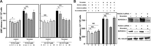 Figure 4. Requirement of ROCK-II but not ROCK-I for thrombin-induced EMP release. (A) Inhibition of EMP release by Rho-kinase inhibitors. Serum-starved HMEC-1 were preincubated 1 hour with different concentrations of Rho-kinase inhibitor Y27632 (left panel) or HA1077 (right panel) and then kept untreated or stimulated for 18 hours with 1 IU/mL thrombin in presence of the same quantities of inhibitors. EMPs were quantified in the cell-conditioned medium, as described in “Materials and methods.” Bar graphs represented mean values ± SEM for 5 independent experiments. *P < 0.5, **P < .01, ***P < .001. NS indicates not significant; control, unstimulated cells. (B) ROCK-II mediated EMP release by thrombin. Forty-eight hours after transfection with ROCK-II or ROCK-I or scrambled siRNA(s), HMEC-1 cells were kept untreated or were stimulated with 1 IU/mL thrombin for 18 hours, and EMPs were assayed in conditioned cell culture medium as above (right panel). Bar graphs represented mean values ± SEM for 3 independent experiments. *P < .05, ***P < .001; NS indicates not significant. Changes in the expression of ROCK-II and ROCK-I proteins were monitored by immunoblot 48 hours after transfection of HMEC-1 cells with ROCK-II or ROCK-I siRNA(s) (left panel).