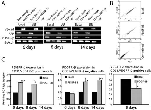 Figure 4. Expression of PDGFR-β on CD31/VEGFR-2–positive cells at different time points. (A) Semiquantitative PCR analysis of VE-cadherin (VE-cad), αfetoprotein (AFP), PDGFR-β, and β–actin levels in immunopurified CD31/VEGFR-2–expressing cells and in the flow-through fractions derived from embryoid bodies cultured for 6, 8, or 14 days in the presence or absence of PDGF-BB. (B) Validation by FACS analyses of CD31 and VEGFR-2 expression in immunopurified fractions derived from embryoid bodies cultured for 6 days in the presence or absence of PDGF-BB. Unstained cells served as a control. (C) Real-time PCR analysis of PDGFR-β expression in CD31/VEGFR-2–positive cells and in flow-through and of VEGFR-2 expression in the CD31/VEGFR-2–positive cells derived from embryoid bodies treated or not treated with PDGF-BB, as described in panel A. Results are given as mean ± SD fold induction compared with basal of 3 separate experiments. *P < .05; **P < .008; ***P < .001.
