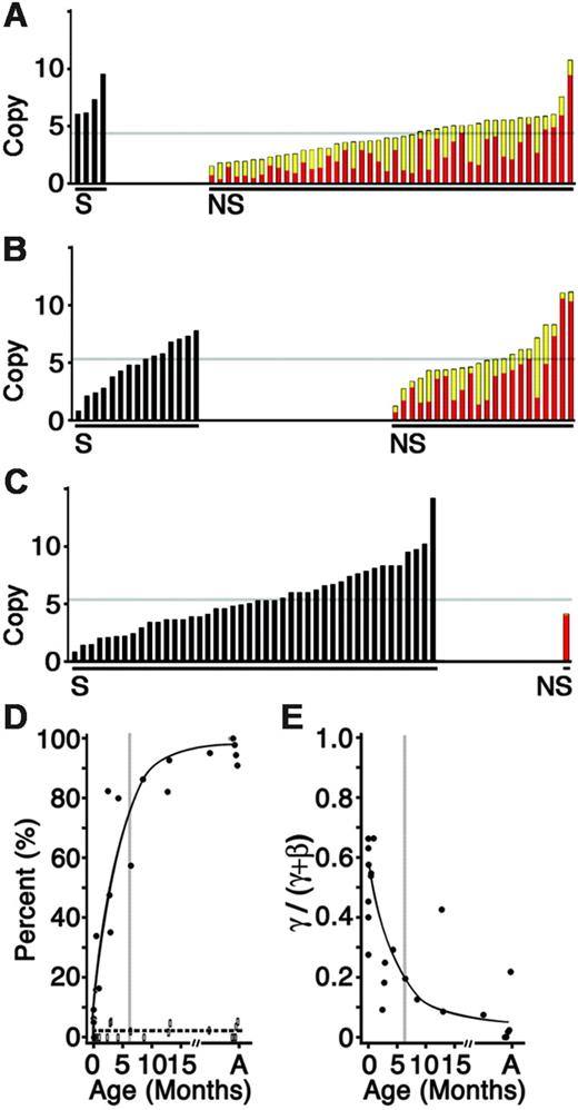 Figure 5. Distribution of gamma- and beta-globin mRNA during postnatal development. The copy number (× 1000) of cDNA for individual reticulocytes sorted from (A) an umbilical cord, (B) a 2-month old infant, and (C) an adult human. Black bars represent gamma-globin gene–silenced (S) reticulocytes. Colored bars represent the nonsilenced (NS) reticulocytes with beta-globin copy number represented in red and gamma-globin copy number in yellow. The light gray line reflects a mean copy number for each donor. (D) Percentage of gamma-globin gene–silenced reticulocytes (•, solid line; gamma-globin mRNA below detection limit of 20 copies per cell) versus those reticulocytes containing low levels of gamma-globin mRNA (open boxes, dashed line; 21-100 copies of gamma-globin mRNA per cell) arranged according to donor age (x-axis). (E) Gamma-globin level among the nonsilenced populations expressed as a percentage of the total (gamma + beta; y-axis) arranged according to donor age (month; x-axis). The smooth trend lines were drawn using averages for each 10-week interval. In panels D and E, the postnatal (PN) age of the donors is shown on the x-axis with vertical gray lines at 6 months. A indicates adult.