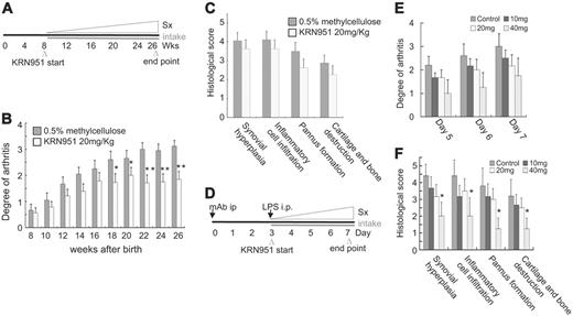 Figure 5. A VEGFR TK inhibitor, KRN951, suppressed the progression of pX-induced chronic and collagen-antibody–induced acute arthritis. (A) Experimental design for the treatment of mice with pX-induced chronic arthritis with a VEGFR inhibitor, KRN951. The VEGFR inhibitor was orally administered from 8 to 26 weeks of age (5 d/wk). (B) Clinical grades of arthritis gradually increased with age. The KRN951-administered group showed a reduction in the progression of arthritis compared with the untreated group. The data represent the mean ± SEM. *P < .05, **P < .01; KRN951-treated group versus control. (C) The scores of histologic findings in the treated group were also decreased (statistically not significant). (D) Experimental design for the treatment of mice with collagen-antibody–induced acute arthritis. Anticollagen-antibody was injected into the peritoneum of mice, followed by a peritoneal injection of LPS after 3 days. The administration of KRN951 started at day 3 and ended at day 7. (E-F) Clinical grade and histologic score of acute arthritis decreased in a KRN951 dose–dependent manner. The data represent the mean ± SEM. *P < .05; 40 mg/kg/d versus control. Sx indicates symptom.