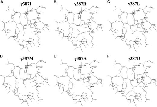 Figure 6. The putative structures of the fibrinogen γ-chain C-terminal residue of γ387 variants. The wire-frame views show residues that are within 0.6 nm of residue γ387. The views of γ387 variants were generated with Swiss-Pdb Viewer38 from the protein databank file 3fib/pdb. (A) γ387I; (B) γ387R; (C) γ387L; (D) γ387M; (E) γ387A; and (F) γ387D. Thin and thick dotted lines show putative strong H-bonds and steric hindrance, respectively.