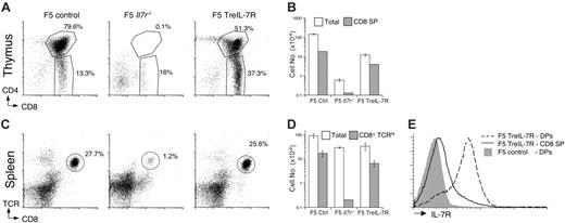 Figure 1. TreIL-7R expression restores thymic development in F5 Il7r–/– mice. Single-cell suspensions were prepared from thymus and spleen of 6-week-old F5 control, F5 Il7r–/–, and dox-fed F5 TreIL-7R mice. (A) Dot plots show CD4 versus CD8 expression in the thymus for representative mice of the indicated strain. (B) The bar chart shows total thymocyte (□) and CD8 SP thymocyte (▦) cell numbers of mice from panel A. (C) Dot plots show TCR versus CD8 expression by splenocytes from the corresponding mice in panel A. (D) The bar chart shows total spleen (□) and CD8+TCRhi (▦) cell numbers. (E) The histograms show IL-7R expression by CD4+CD8+ SP (broken line) and CD4–CD8+ DP (solid line) thymocytes from F5 TreIL-7R mice and CD4+CD8+ DP thymocytes from control F5 mice (gray fill) as negative control, because DP thymocytes are known not to express IL-7R. Data are representative of 3 or more independent experiments.