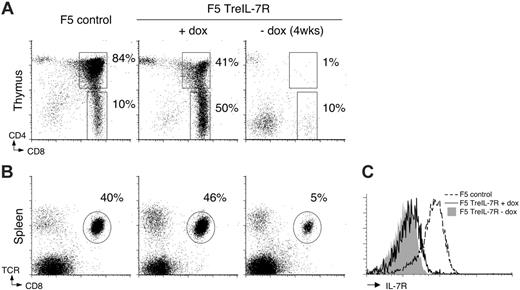 Figure 2. Reversible expression and function of the TreIL-7R transgene in F5 TreIL-7R mice. Groups of 6-week-old F5 TreIL-7R mice (n = 4) were taken off or maintained on dox food for 4 weeks, after which the phenotype of thymus and spleen was analyzed by FACS. Dot plots show CD4 versus CD8 expression in thymus (A) and TCR versus CD8 expression in spleen (B) of control F5, dox-fed, and dox-free F5 TreIL-7R mice. (C) Histograms show IL-7R expression by CD8+TCRhi splenocytes from F5 controls (broken line), dox-fed F5 TreIL-7R mice (solid line), and dox-free F5 TreIL-7R mice (gray fill). Data are representative of at least 2 independent experiments.