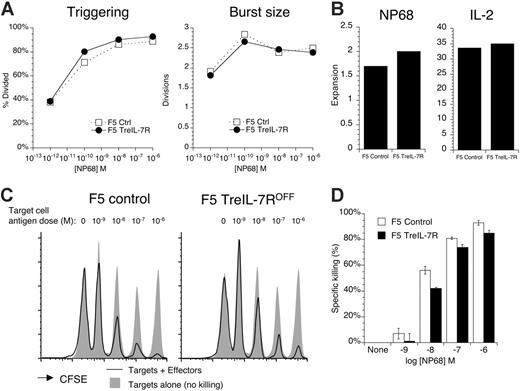 Figure 3. F5 TreIL-7ROFF T cells activate, expand, and develop effector function similarly to F5 control T cells. (A) Splenocytes from F5 TreIL-7R donors taken off dox food 3 days previously were CFSE labeled and stimulated with different concentrations of NP68 peptide. After 72 hours, CFSE profiles were analyzed. Graphs show percent cells divided (triggering) and division index of dividing cells calculated (burst size) for cultures of control (□) and F5 TreIL-7ROFF T cells. (B) In similar cultures, T cells were stimulated with 10 nM NP68 for 72 hours. Viable cells were isolated by centrifugation over Ficoll gradient and then cultured for a further 4 days in IL-2. Cell recoveries were enumerated both after 3 days of peptide stimulation and after 4 days of further IL-2 culture. Bar charts show fold expansion over input cell number in NP68-stimulated and IL-2 expansion cultures. (C) Effector function of cultured T cells from panel B was tested in vivo. C57BL/6J Ly5.1 targets were pulsed in vitro with increasing concentrations of NP68 and then labeled with different levels of CFSE. The antigen dose for each individual CFSE peak is indicated above the histograms. Targets were mixed in equal numbers and 2 × 107 total cells cotransferred with 2 × 107 cultured F5 effectors to Rag1–/– recipients. Targets alone were injected into Rag1–/– or naive F5 Rag1–/– recipients as control for no killing. Twenty-four hours later, spleen from recipient mice was analyzed by FACS for the presence of Ly5.1-positive target cells. Histograms show CFSE labeling of Ly5.1-positive targets cotransferred with effectors (solid line) and targets transferred alone as control (gray fill) for the F5 effector donor indicated. Target cell recoveries from naive F5 Rag1–/– were identical to those recovered from Rag1–/– hosts (data not shown). (D) Bar chart indicates the percent killing of targets pulsed with the indicated concentrations of NP68 by F5 control (open) and F5 TreIL-7ROFF effectors (filled). Data are representative of at least 2 independent experiments.