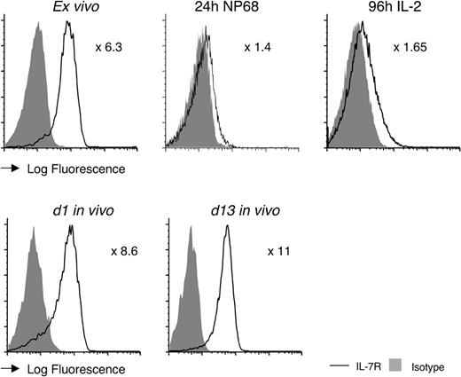 Figure 5. F5 effectors reexpress IL-7R in vitro and in vivo. Histograms show IL-7R expression by control F5 T cells (solid line) compared with isotype control (gray fill) prior to stimulation ex vivo, after 24 hours of stimulation with NP68 peptide, following 72-hour peptide and further 96-hour culture with IL-2, and on day 1 and day 13 following adoptive transfer in vivo into Rag1–/– hosts. Numbers indicate fold increase in mean fluorescence intensity (MFI) of IL-7R expression of F5 control T cells over the background of the negative control stain. Data are representative of at least 3 independent experiments.