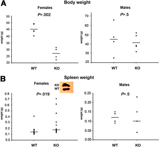 Figure 1. Body and spleen weight of aged Aire-deficient mice. (A) Body and (B) spleen weight were measured in 15-month-old Aire wild-type (WT) or knock-out (KO) mice kept in a conventional animal facility. Each symbol corresponds to a different animal. P values were calculated with t test for panel A and Mann-Whitney test for panel B. Mean values (A) or median (B) are indicated by horizontal lines. n = 4 WT males, 5 KO males (body and spleen weight); n = 5 WT females, 5 KO females (body weight); n = 13 WT females, 14 KO females (spleen weight).