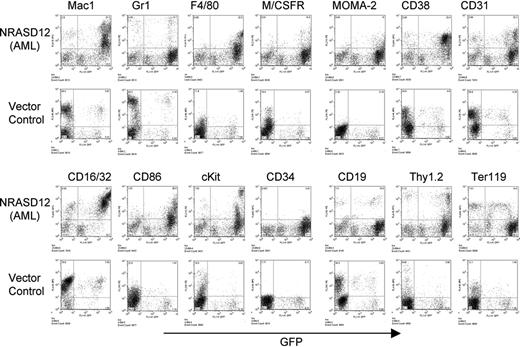 Figure 5. Immunophenotyping of bone marrow cells isolated from NRASD12 mouse with AML-like disease and from a vector control mouse. The expression of GFP is shown along the x-axis, and the y-axis shows the expression of cell-surface markers specified over each column.