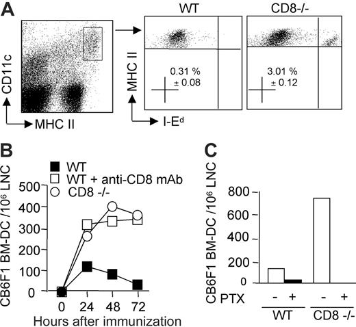 Figure 3. The persistence of donor-derived DCs in draining lymph nodes is impaired in the presence of CD8 T cells. Mice were injected in the hind footpads with semi-allogeneic CB6F1 DCs. (A) The presence of injected DCs was monitored by flow cytometry analysis of the draining lymph node cells (pooled from 3 mice per group) after 72 hours. The percentage of I-Ed–positive DCs, gated on CD11c+, MHC IIhigh after propidium-iodide–positive cell exclusion, is shown (mean ± SEM of 4 different experiments). (B) Kinetics of DC recruitment into the draining lymph nodes of WT, CD8–/–, or CD8-depleted mice at 24, 48, and 72 hours after injection. (C) DCs were pretreated or not with pertussis toxin and injected into WT or CD8–/– mice. At 48 hours after injection, draining lymph nodes were analyzed for the presence of injected I-Ed–positive CD11c+, MHCHigh DCs. Data are from 1 representative experiment of 3 performed.