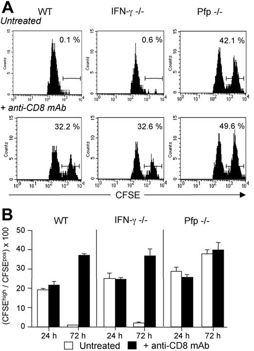 Figure 6. Host CD8 T cells eliminate donor-derived DCs through a perforin-dependent mechanism. WT, IFN-γ–/–, or Pfp–/– B6 mice, treated or not with anti-CD8 mAb, were injected with equivalent numbers of CFSElow-labeled syngeneic B6 DCs and CFSEhigh-labeled semi-allogeneic CB6F1 DCs. Draining lymph nodes were harvested at 24 or 72 hours after injection and analyzed for the presence of CFSE-labeled cells. (A) Cells were analyzed at 72 hours and gated on CD11cpos, MHC-IIhigh, and CFSEpos cells. Numbers indicate the percentage of CFSEhigh CB6F1 cells among total CFSEpos cells for an individual mouse. (B) Results are expressed as mean plus or minus SEM of 3 mice per group and are from 1 representative experiment of 2 performed.