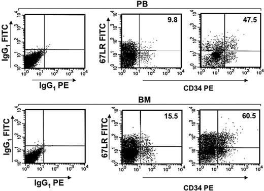 Figure 6. G-CSF increases 67LR expression in mouse BM and PB CD34+ cells. 67LR expression on PB CD34+ cells and on BM CD34+ cells before (left panels) and after G-CSF administration (right panels) from one representative mouse. BALB/c mice were treated daily for 5 days with 300 μg/kg G-CSF or with saline, as a control. Four hours after the last injection, PB and BM CD34+ cells were analyzed by flow cytometry, with a mouse-specific anti-CD34–PE antibody and with an anti-67LR polyclonal antibody, detected by a FITC-conjugated antirabbit antibody.
