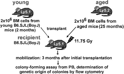 Figure 3. Experimental setup of the competitive mobilization experiment. Data are presented in Table 2.