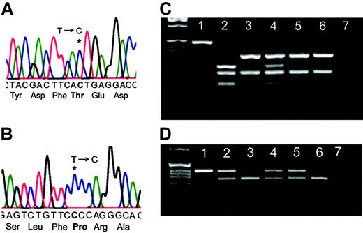 Figure 1. Identification of 2 WAS mutations. (A) Sequence analysis of P1 demonstrating 36201T>C leading to Ile294Thr. (B) Sequence analysis of P2 demonstrating 36143T>C leading to Ser272Pro. (C) Confirmation of the presence of the T>C mutation in P1 by PCR and DdeI restriction endonuclease digestion. Lane 1: undigested PCR product, lane 2: P1, lane 3: patient's sister (clinically healthy), lane 4: mother, lanes 5 and 6: healthy controls, and lane 7: water. (D) Confirmation of the T>C mutation in P2 by PCR and BpmI restriction endonuclease digestion. Lane 1: P2, lane 2: mother, lane 3: father, lane 4: maternal aunt, lane 5: maternal grandmother, lane 6: maternal uncle, and lane 7: DDW.