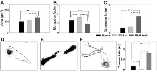 Figure 4. Live WASp-Ile294Thr macrophages exhibited abnormal shape and motility. (A-C) Comparison of area, elongation factor, and dispersion factor for normal, WASp-deficient (–), and WASp-Ile294Thr macrophages. (D,E,F) Representative composite images of normal, WASp-deficient, and WASp-Ile294Thr macrophages, respectively. Dashed lines represent the outline of the cell body. (G) Quantification of podosome turnover. *P < .05; **P < .01; ***P < .001. Error bars indicate 1 SE.