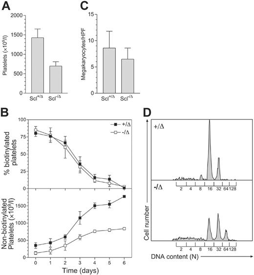 Figure 1. Scl–/Δ mice show defective platelet production and megakaryocyte hyperploidy. (A) Thrombocytopenia seen in Scl–/Δ mice. Mice of the indicated Scl genotypes were bled more than 1 month following PI-PC treatment, and platelet counts were determined using a blood analyzer. Results are the mean + standard deviation of 5 mice in each group. (B) Measurement of platelet lifespan. Mice were treated with N-hydroxy-succinomidyl biotin on day 0 and the percentage of biotinylated platelets determined daily using flow cytometry (top panel). Relating this value to the determined platelet count yielded the number of nonbiotinylated platelets (bottom panel). Data are mean ± standard deviation of quadruplicate determinations. (C) Megakaryocyte frequency in the bone marrow of Scl+/Δ and Scl–/Δ mice. Sternal bone marrow sections were prepared and analyzed using light microscopy. The number of megakaryocytes per 400 × microscopic HPF is indicated for each genotype. Results are the mean + standard deviation of 15 adjacent fields analyzed for 4 separate mice. (D) Hyperploidy of Scl–/Δ megakaryocytes. The DNA content of bone marrow megakaryocytes was determined using propidium iodide staining and flow cytometry. The level of staining corresponding to the numbers of haploid genomes (N) contained in each cell is indicated. Data are representative of 3 separate mice of each genotype analyzed.