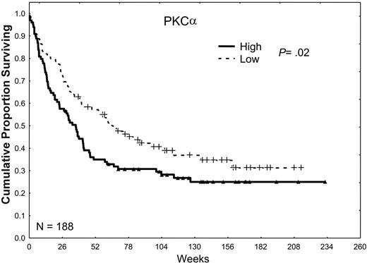 Figure 3. The effect of PKCα expression on survival. Patients were divided into 2 groups, low and high, according to whether they were above or below the median PKCα expression observed in all 226 samples in 188 patients. Patients with a PKCα greater than the median level (P = .02) or in the highest third (P = .016) or the highest one sixth (P < .001) of this group had an inferior survival duration compared with those with levels of PKCα below the median, suggesting a progressively adverse prognostic effect of increasingly higher levels of PKCα.