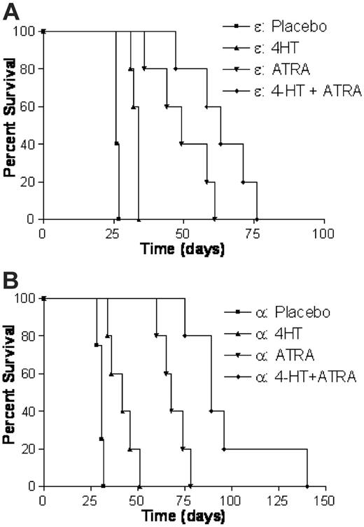 Figure 2. Forced expression of C/EBPs in combination with ATRA treatment has a synergistic effect on survival of leukemic mice. Leukemic animals expressing either C/EBPϵ-ER (A) or C/EBPα-ER (B) were generated as described in Figure 1 and treated with one of the following: a placebo, 25 mg 4-HT, 10 mg ATRA, or a combination of 4-HT and ATRA. The data for each C/EBP group are from 20 animals with 5 mice per treatment. The combined therapy of 4-HT and ATRA resulted in the most profound effect on survival in both groups (P < .001). The mean survival times of placebo, 4-HT, ATRA, and 4-HT plus ATRA groups were 26.4, 33, 49.6, and 63 days, respectively, in animals receiving transplants with C/EBPϵ-ER–transduced leukemias and 30.5, 41.8, 69, and 97.8 days, respectively, in C/EBPα-ER animals.