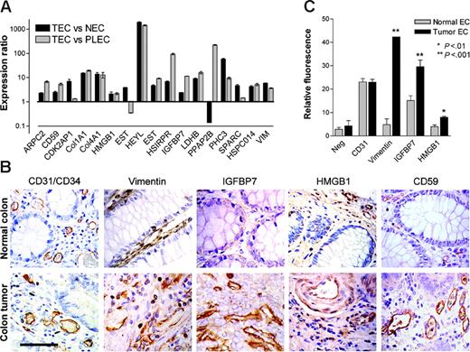 Figure 2. Expression validation of TAGs. (A) Transcriptional validation of TAG markers by quantitative real-time PCR. Expression ratios (± SEM) in TECs compared with NECs (▪) and TECs compared with PLECs (▦) normalized for cyclophilin A are shown. (B) Immunohistochemical staining of CD31/CD34 and different TAGs in colorectal tumor and normal colon tissue sections. Vimentin expression is detected in ECs of tumor and normal colon tissue, although heavily overexpressed on tumor endothelium. IGFBP7 and CD59 show predominant endothelial expression that is more abundant in tumor tissue. HMGB1 is also localized to stromal and epithelial cells, suggestive of secretion. Scale bar = 50 μm. (C) Protein-expression levels (mean fluorescence intensity, ± SEM) of HMGB1, IGFBP7, and vimentin on tumor ECs compared with normal ECs, assessed by flow cytometry (*P < .01; **P < .001).