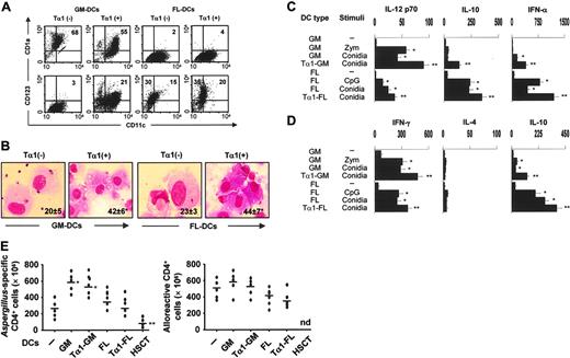 Figure 6. Tα 1 promotes mobilization and Th1/Treg antifungal priming of human DCs. (A) Surface expression of CD11c, CD1a, and CD123 on DCs derived from peripheral CD14+ cells of different donors with GM-CSF/IL-4 (GM-DCs) or FLT3L (FL-DCs) in the presence of Tα1. Percentage of positive cells is indicated. (B) Phagocytosis of conidia by GM- or FL-DCs exposed (+) or not (–) to Tα1 from 7 recipients of T-cell–depleted haploidentical HSC transplants. The data are the means ± SE and are expressed as percentage internalization (numbers within panels). *P < .05, Tα1-treated versus untreated cells. Visualized with a 100×/1.25 oil-immersion objective lens. (C) Cytokine production (pg/mL by ELISA) by Tα1-induced DCs, from healthy donors, cultured in serum-free medium (1 × 106 cells/mL) with unopsonized Aspergillus conidia (5 × 105/mL), 10 μg/mL zymosan, or 2 μg/mL CpG-B ODN 2006 for 24 hours. The data shown are aggregated results from 3 independent experiments and are presented in the mean ± SD. The detection limits of the assays were as follows: less than 3 for IL-12p70, less than 5 for IL-10, and less than 3 for IFN-α. (D) Cytokine production by peripheral blood Aspergillus-specific CD4+ T-cell clones from healthy donors in response to Aspergillus-pulsed Tα1-treated DCs as in panel A. Bars indicate standard errors. The detection limits (pg/mL) of the assays were less than 0.5 for IL-4 and IFN-γ.*P < .05, conidia-stimulated versus unstimulated cells. **P < .05, Tα1-exposed versus unexposed cells. (E) Frequency of Aspergillus-specific or alloreactive T-cell clones responding to the different types of fungus-pulsed DCs or unpulsed DCs, respectively, from healthy donors or transplant recipients. Growing clones were assessed for specificity after 2 days of stimulation with DCs. *P < .05, GM-DCs versus peripheral blood cells (–). **P < .05, HSCT-DCs versus all other DCs. nd indicates not done.