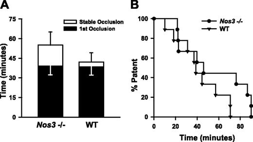 Figure 3. Carotid artery thrombosis in Nos3–/– mice. Carotid artery thrombosis following photochemical injury in Nos3–/– mice (n = 9) compared with wild-type C57BL6/J mice (n = 10). All mice were fed the control diet. (A) Time to first occlusion (▪) or stable occlusion (□). Values are mean ± SE. (B) Percent of mice with a patent carotid artery as a function of time after administration of rose bengal.