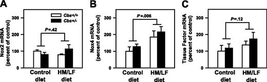 Figure 5. Levels of mRNA for Nox2, Nox4, and tissue factor. mRNA levels for (A) Nox2, (B) Nox4, and (C) tissue factor in the aorta, measured by real-time PCR (n = 6-7 in each group). The values were normalized to GAPDH mRNA using the comparative threshold cycle (ΔΔCT) method25 and are expressed as percent of the control value seen in Cbs+/+ mice fed the control diet. Values are mean ± SEM.