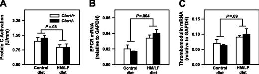 Figure 8. Protein C activation and EPCR and thrombomodulin mRNA levels. Activation of protein C (A) and levels of EPCR mRNA (B) and thrombomodulin mRNA (C) in the aorta of Cbs+/+ or Cbs+/– mice fed either the control or HM/LF diets (n = 6-7 in each group). Levels of EPCR mRNA and thrombomodulin mRNA were normalized to levels of GAPDH mRNA. Values are mean ± SEM.