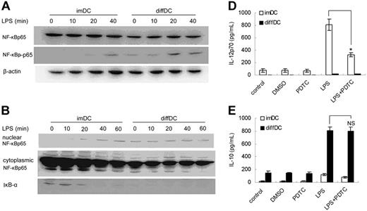 Figure 5. NF-κB pathway activation is enhanced in diffDCs but is not responsible for the unique cytokine profile of diffDCs. (A) imDCs and diffDCs were cultured in medium alone as a control (0) or were stimulated with 500 ng/mL LPS for the indicated times. Whole-cell lysates were then electrophoresed and probed with phospho–NF-κBp65, followed by an appropriate secondary antibody. (B) Degradation of IκB-α and nuclear translocation of NF-κB was enhanced in diffDCs. Cytoplasmic or nuclear extracts from DCs cultured in medium alone or stimulated with 500 ng/mL LPS for 10, 20, 40, or 60 minutes were prepared, blotted, and probed with IκB- and NF-κB–specific antibodies, respectively. (C) NF-κB activation was not required for the IL-10 overexpression and impaired IL-12p70 secretion in diffDCs. DCs were pretreated with 100 μmol/mL PDTC, an inhibitor of NF-κB activation, for 30 minutes, then stimulated with LPS for 24 hours. Levels of IL-10 and IL-12p70 in supernatants were determined by ELISA. *P < .05. NS indicates not significant.