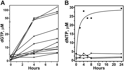 Figure 2. Effect of forodesine on dNTP pools. Accumulation of dGTP (A) and all 4 dNTPs (B) with the incubation of forodesine in primary CLL cells. The primary CLL cells from 11 patients were incubated with 2 μM forodesine and 10 μM dGuo at 4 and 8 hours, and the nucleotides in the leukemia cells were extracted by 60% methanol and dNTPs were measured by DNA polymerase assay. The data of accumulation of dGTP for all patients (A) and the 4 dNTPs (▪, dGTP; ▴, dATP; ▾, dCTP; and ♦, dTTP) for one patient (B) are plotted.