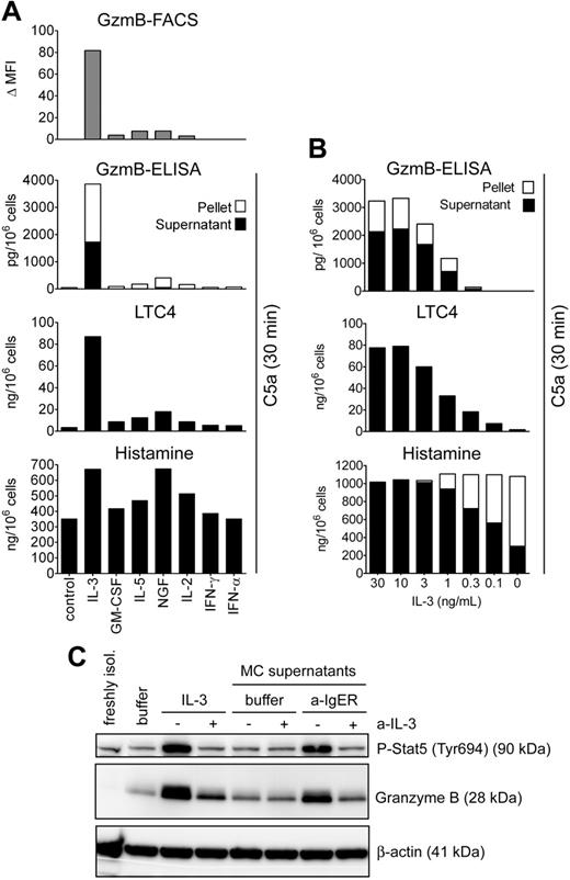 Figure 4. Induction of GzmB by cytokines and products of activated mast cells. (A) Effect of different cytokines on the induction of GzmB and on the response of basophils to C5a. Basophils were cultured overnight in medium alone or with IL-3 (10 ng/mL), GM-CSF (50 ng/mL), IL-5 (50 ng/mL), NGF (50 ng/mL), IL-2 (100 U/mL), IFN-α (1000 U/mL), or IFN-γ (1000 U/mL). Intracellular GzmB was analyzed by flow cytometry. The Δ mean fluorescence (mean fluorescence of the specific mAb minus fluorescence of control antibody for each condition) is shown. (Lower panels) Following overnight culture with indicated cytokines, basophils were stimulated with C5a (10 nM) for 30 minutes to induce degranulation. Released (▪) and cell-associated (□) GzmB, LTC4, and histamine release is shown. No histamine or LTC4 release was detected when the stimulation with C5a was omitted (not shown). Mean values of triplicates of a representative experiment are shown. Experiments performed with basophils from 3 different donors showed an identical pattern of results and the same order of efficacy of the cytokines. Also note the congruent results for GzmB induction determined by flow cytometry and ELISA that were performed in independent experiments. (B) Relationship between induction of GzmB and “late priming” with different concentrations of IL-3. Basophils were incubated in medium or different concentrations of IL-3. After 24 hours, cells were stimulated with 10 nM C5a for 30 minutes. Released and cell-associated GzmB and histamine and leukotriene formation is shown (mean values of triplicate determinations of a representative experiment out of 3). (C) The products of IgE-activated mast cells induce GzmB in basophils. Western blots of cell extracts of basophils cultured overnight with supernatants of human mast cells (MC supernatants) that have been activated by IgE-receptor cross-linking (a-IgER) or not (buffer) are shown (“Materials and methods”). For comparison, extracts of the same basophil preparation of freshly isolated basophils, or basophils cultured in medium (buffer) or with IL-3 (10 ng/mL), are included in the blot. Where indicated by +, a neutralizing polyclonal goat anti–IL-3 antibody (a-IL-3; 10 μg/mL) was added. An irrelevant control goat IgG had no effect on GzmB expression (data not shown). Tyr694 phosphorylation of Stat5 is shown as another independent indicator for the stimulation of basophils by mast cell–derived IL-3. Total Stat5 levels were identical under all the conditions (data not shown).