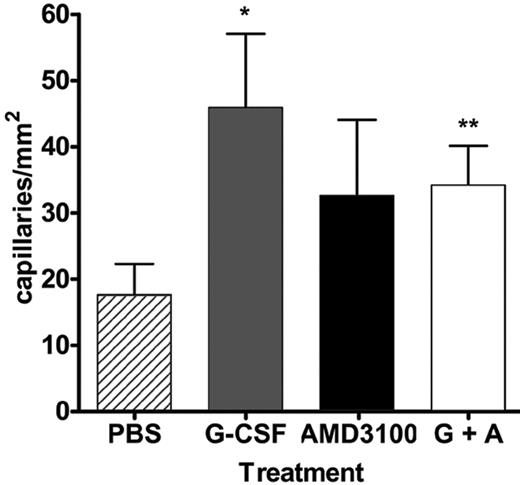 Figure 2. Capillary density. Quantitative analysis of capillary density (per mm2) of adductor muscles from ischemic hindlimbs at day 14 after surgery (n = 3). Data represent the mean ± SEM. (*P < .02; **P < .03.)