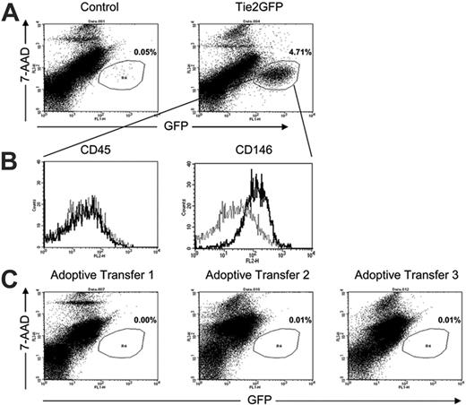 Figure 7. Flow cytometric assessment of endothelial-cell chimerism. The adductor muscle from the ischemic limb was isolated 14 days after induction of hindlimb ischemia, digested with collagenase to generate a single-cell suspension, and then analyzed by flow cytometry. (A) Representative FACS plots of nontransgenic FVB (control) (n = 3) and Tie2GFP (n = 3) transgenic cells showing GFP expression; staining for 7-AAD was used to identify nonviable cells. (B) Expression of CD45 and CD146 (MUC18 antigen) by GFP+ cells from Tie2GFP transgenic mice is shown. Isotype controls are shown as dashed lines. (C) Representative histograms from 3 recipient mice in which Tie2GFP blood mononuclear cells had been adoptively transferred. Shown is the percentage of GFP-positive cells.