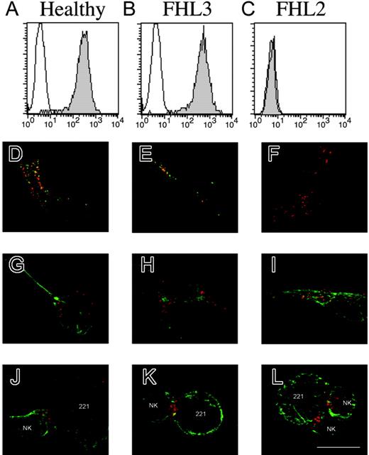 Figure 1. Perforin expression and granule polarization of patients with FHL compared with control subjects. Polyclonal activated NK cells derived from healthy donor (A,D,G,J) and patients with FHL3 (UPN 336; B,E,H,K) and with FHL2 (UPN 314; C,F,I,L) were analyzed by flow cytometry (A-C) and confocal microscopy (D-L). Filled curves indicate perforin expression, whereas open curves indicate isotypic control (A-C). Confocal staining of perforin (green) and cathepsin D (red) (D-F) or cathepsin D (red) and tubulin (green) (G-L) is analyzed in isolated NK cells (D-I) or conjugates between NK and target 221 (J-L). Bar indicates 10 μm.