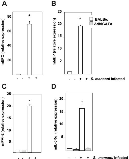 Figure 2. Relative expression of transcripts encoding eosinophil proteins. Relative expression of (A) mouse eosinophil peroxidase (mEPO), (B) mouse eosinophil major basic protein (mMBP), (C) mouse plasminogen activator inhibitor-2 (mPAI-2), and (D) mouse interleukin-5 receptor alpha (mIL-5Rα) from bone marrow RNA of uninfected and S mansoni–infected wild-type BALB/c and eosinophil lineage–ablated ΔdblGATA mice at t = 8 weeks after exposure to cercariae. Values are mean fold change ± SEM with the expression in BALB/c uninfected mice normalized to 1.0; n = 4 mice per group; *P < .01 vs all other data points shown.