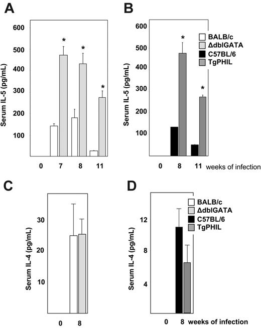 Figure 3. Serum Th2 cytokine determinations. Serum levels of (A) interleukin-5 in wild-type BALB/c and eosinophil lineage–ablated ΔdblGATA mice, (B) interleukin-5 in wild-type C57BL/6 and eosinophil lineage–ablated TgPHIL mice, (C) interleukin-4 in wild-type BALB/c and eosinophil lineage–ablated ΔdblGATA mice, and (D) interleukin-4 in wild-type C57BL/6 and eosinophil lineage–ablated TgPHIL mice at time points indicated. Values are average ± SEM; n = 5 mice per group (uninfected); n = 12 to 13 mice per group (infected); *P < .01 versus uninfected mice.