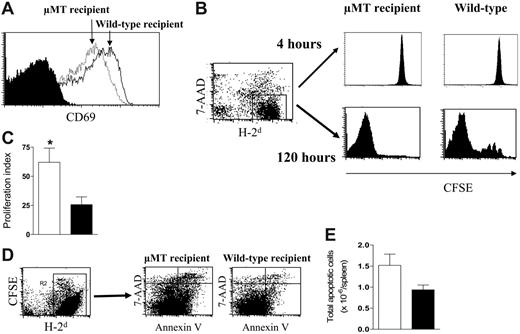 Figure 5. Host B cells inhibit donor T-cell proliferation. Purified CFSE-labeled Balb/c T cells were transplanted into lethally irradiated μMT (n = 4) or wild-type (n = 4) recipient mice. (A) Four hours after BMT, donor (H-2d+) T cells were recovered from the spleens of wild-type (solid line) or μMT recipients (dotted line) and the expression of the activation marker CD69 determined relative to isotype control (solid histogram). (B) At 4 and 120 hours after BMT, proliferation of donor T cells (H-2d+) was determined by reduction of CFSE intensity. (C) ModFit analysis of proliferation index in μMT (□, n = 5) and wild-type (▪, n = 5) allogeneic recipients. Results represent mean ± SE of individual animals *P < .05 versus wild-type. (D) Donor cells (H-2d+) were stained for annexin V and 7-AAD and proportions of annexin V+/7-AAD– apoptotic cells determined as described in “FACS and cytokine analysis.” (E) Absolute numbers of apoptotic cells per spleen in μMT (□, n = 5) and wild-type (▪, n = 5) allogeneic recipients. Results represent mean ± SE of individual animals.