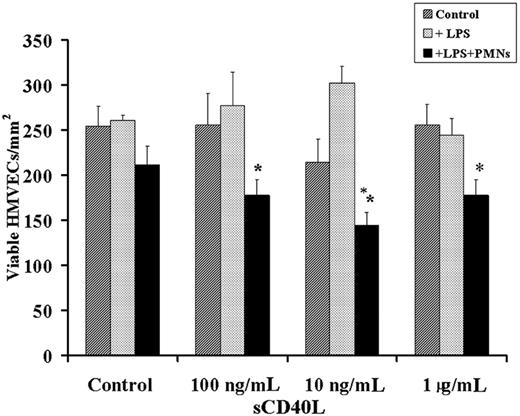Figure 6. A 2-event in vitro model of PMN-mediated pulmonary endothelial damage. HMVECs were grown to 80% to 90% confluence on 12-well plates and were incubated with buffer or LPS for 6 hours, followed by the addition of buffer or freshly isolated PMNs that were allowed to settle for 30 minutes at a target-effector ratio of 10:1. After the addition of PMNs or buffer, a range of human recombinant CD40L concentrations or buffer controls was added to the HMVECs. (dark gray bars) Control cells; buffer-treated HMVECs with no PMNs. (light gray bars) HMVECs pretreated with 2 μg/mL LPS for 6 hours at 37°C, followed by treatment with buffer or a range of sCD40L concentrations (as delineated on the x-axis). (black bars) HMVECs incubated with LPS for 6 hours, followed by the addition of PMNs and sCD40L. Incubation of the adherent PMNs with concentrations of sCD40L at 100 ng/mL, 10 ng/mL, and 1 μg/mL resulted in a significant decrease in the number of viable HMVECs. *P < .05 (n = 3) compared with buffer. These data demonstrate that sCD40L may cause concentration-dependent PMN-mediated damage of LPS-activated HMVECs. Importantly, HMVECs stimulated with LPS and exposed to PMNs without sCD40L did not demonstrate PMN-mediated damage but did evidence widespread PMN adherence. Data are presented as mean ± standard error of the mean.