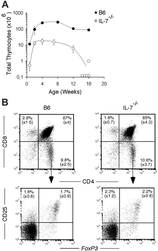 Figure 1. Thymic development in IL-7–/– mice. (A) Total number of thymocytes in B6 (•) and IL-7–/– (○) mice at the indicated ages after birth. Mean (± SD) from groups of 3 to 6 mice per time point is shown, except at 16 weeks where individual mice are depicted. (B) Flow cytometric analysis of thymocytes from B6 (left panels) and IL-7–/– (right panels) mice stained with CD8 and CD4 (top panels) at 8 weeks of age. Bottom panels show the coexpression of CD25 and FOXP3 in gated CD4+ SP subset. The mean (± SD) of groups of 3 to 6 mice is shown in the indicated quadrants.
