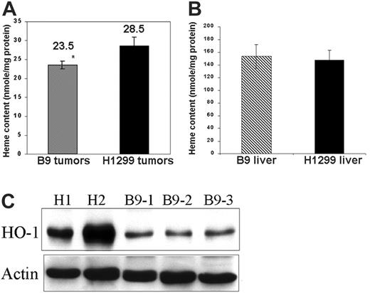 Figure 2. MtFt expression affects heme metabolism of tumor xenografts. Total heme content in the tumors (A) and in the livers (B) of tumor-bearing mice were measured by fluorescent spectrophotometry.37 Tumor and liver lysates were incubated with 2 M oxalic acid for 30 minutes in a boiling water bath, following which the fluorescence of heme-derived protoporphyrin IX was measured using 662 nm emission and 400 nm excitation (*P < .05). (C) Effect of MtFt expression on HO-1 protein expression. Tumor lysates identical to those in panel A were used to measure HO-1 protein levels by Western blotting.