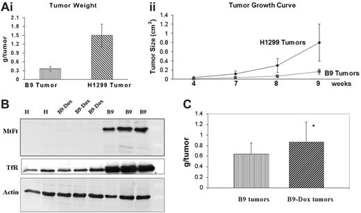 Figure 5. MtFt expression inhibited tumor growth. (Ai) Weights of H1299 cell– and B9 cell–derived tumors (9 weeks after injection) and (ii) measurement of tumor burden growth over time. (B) MtFt and TfR expression (Western blotting) was repressed by oral administration of Dox to the mice (B9-Dox) (“Materials and methods”). (C) Weights of tumors (10 weeks after transplantation) obtained from mice that had (B9-Dox) or did not have (B9) doxycycline in their drinking water (*P < .1).
