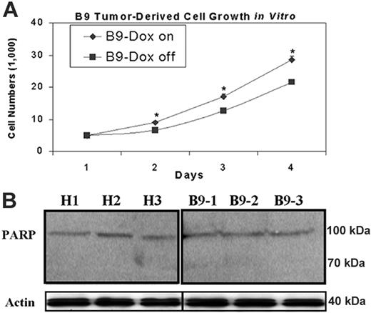 Figure 6. Effects of MtFt overexpression on in vitro–cultured xenograft-derived tumor cell growth and apoptosis of tumor xenografts. (A) MtFt expression decreased in vitro growth of xenograft-derived tumor cells (“Materials and methods”). (B) MtFt expression did not lead to cleavage of PARP in H1299 cell– and B9 cell–derived tumor xenografts. Tumor lysates (prepared as in Figure 3A; see “Materials and methods”) were used to measure PARP protein levels by Western blotting. Representative of 3 independent experiments that produced similar results (mean of triplicate ± SD); *P < .01.