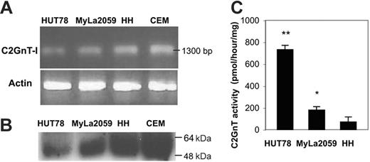 Figure 2. C2GnT-I is expressed in 1D4– HH cells but has minimal enzyme activity. (A). RT-PCR (for C2GnT and β-actin) and (B) immunoblotting (for C2GnT) demonstrate abundant expression of C2GnT mRNA and protein in all cell lines. (C) Extracts of HUT78, MyLa2059, and HH cells were assayed for C2GnT enzyme activity. **P < .001, HUT78 compared with HH; *P < .01, Myla2059 compared with HH. Values are means ± SD of duplicates from 1 of 5 independent experiments.